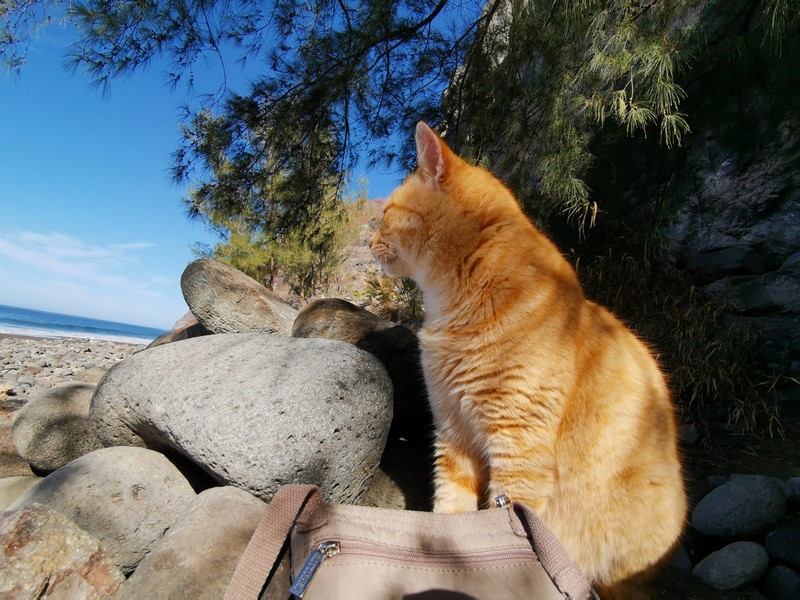 IMG_20191224_131011 (Kopiowanie).jpg