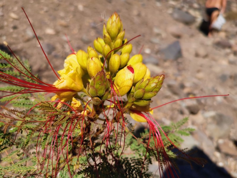 IMG_20191224_142939 (Kopiowanie).jpg