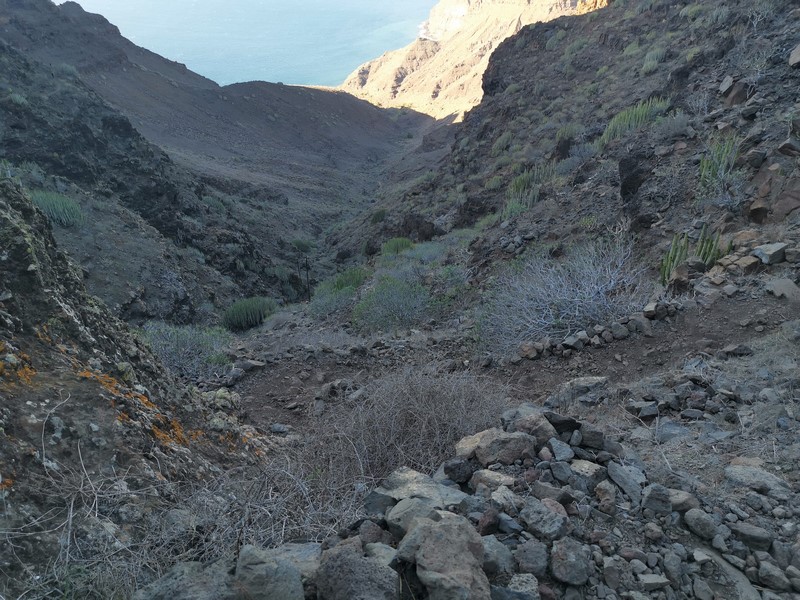 IMG_20191224_163706 (Kopiowanie).jpg