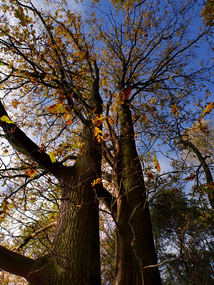 DSC02840.JPG