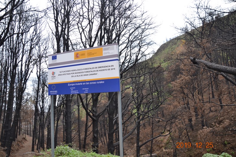 DSC_0042 (Kopiowanie).JPG