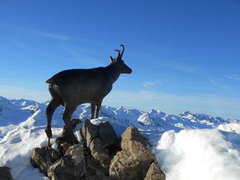 2020-01-12-15h13m05 (Custom).JPG