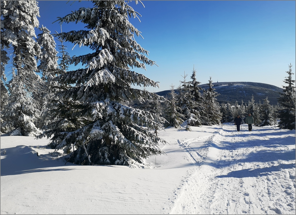 29-IMG_20200105_123221 (2).jpg