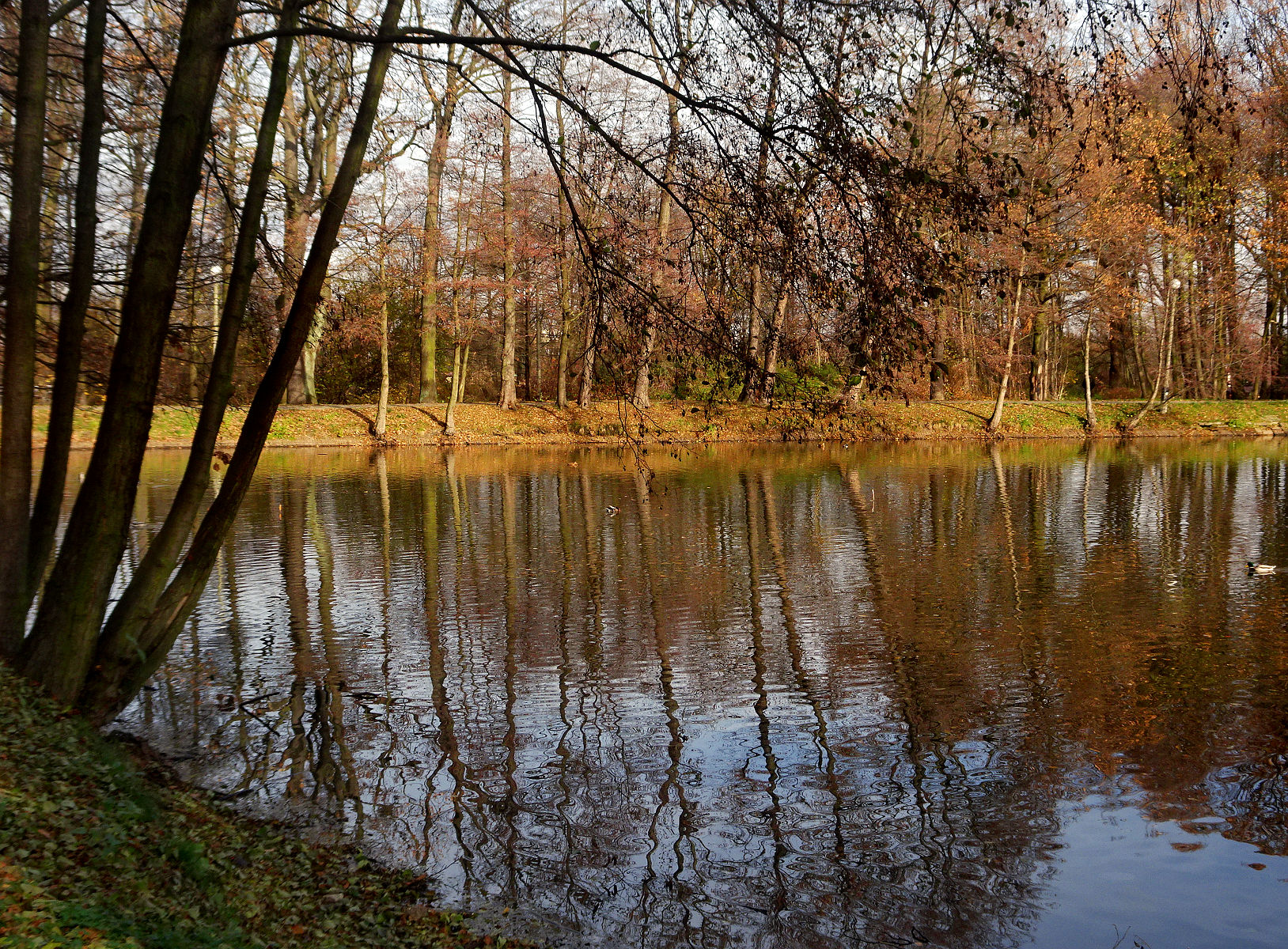 DSC03321.JPG
