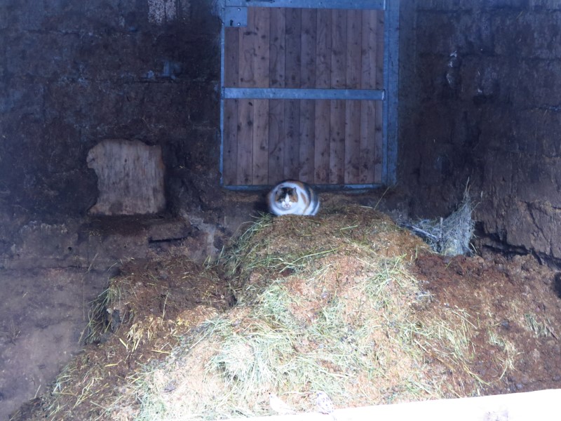 2020-01-16-16h41m50 (Custom).JPG