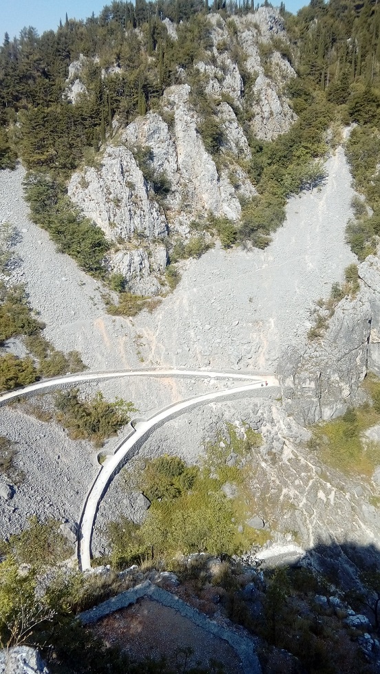 m1.jpg