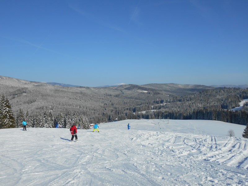 2020-02-08-13h17m50 (Custom).JPG