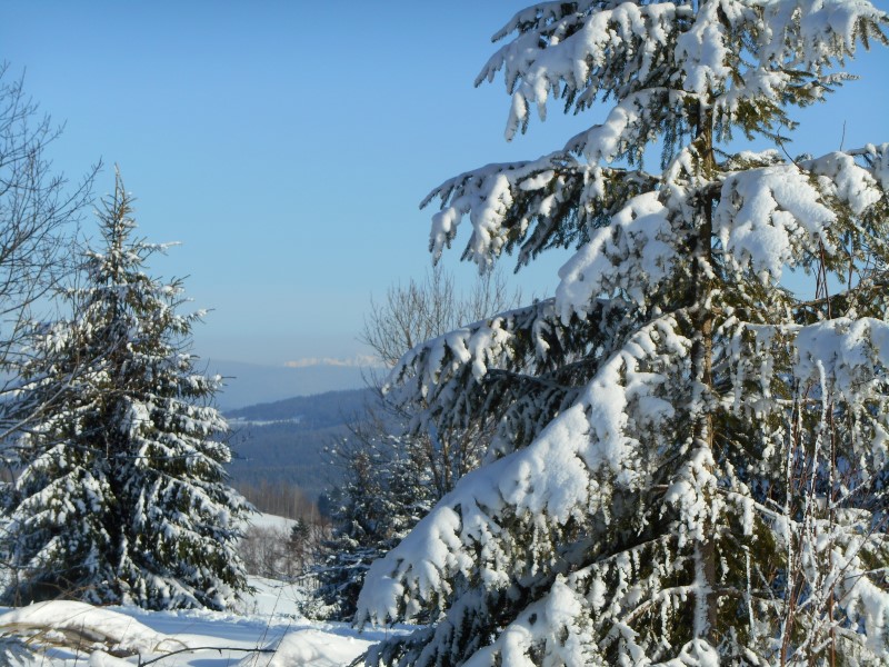 2020-02-08-14h33m31 (Custom).JPG