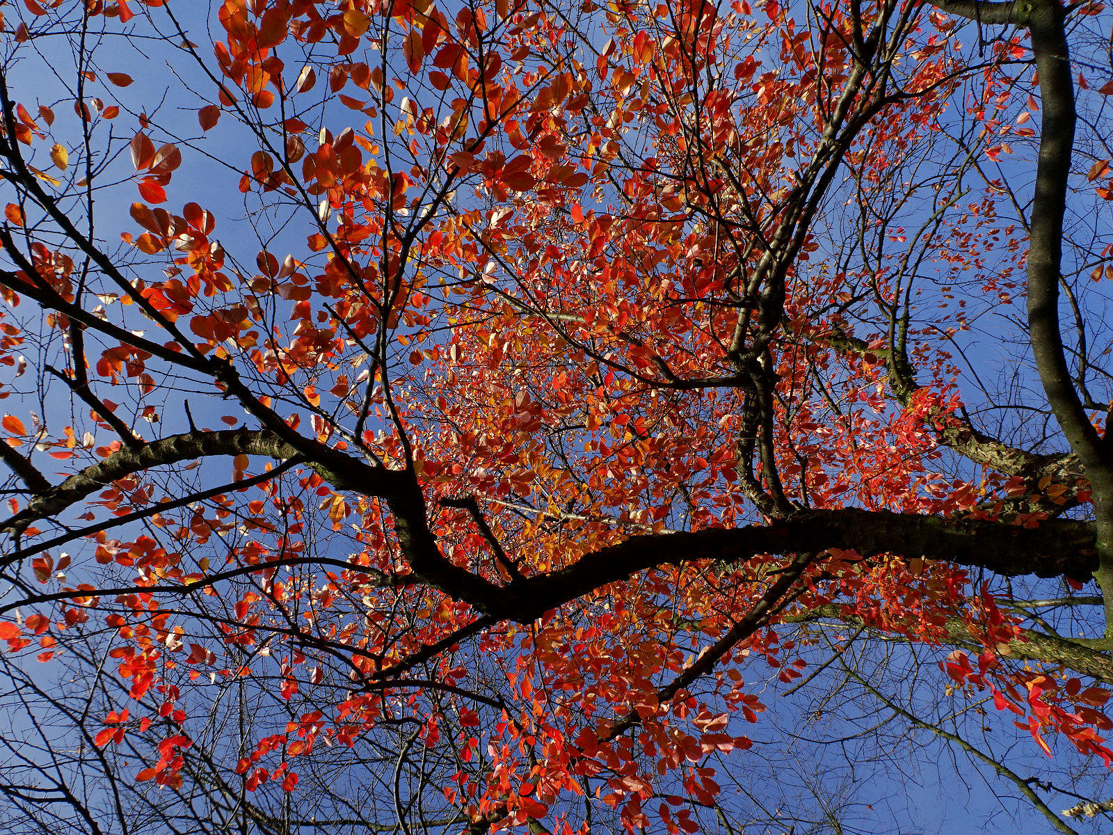 DSC03453.JPG