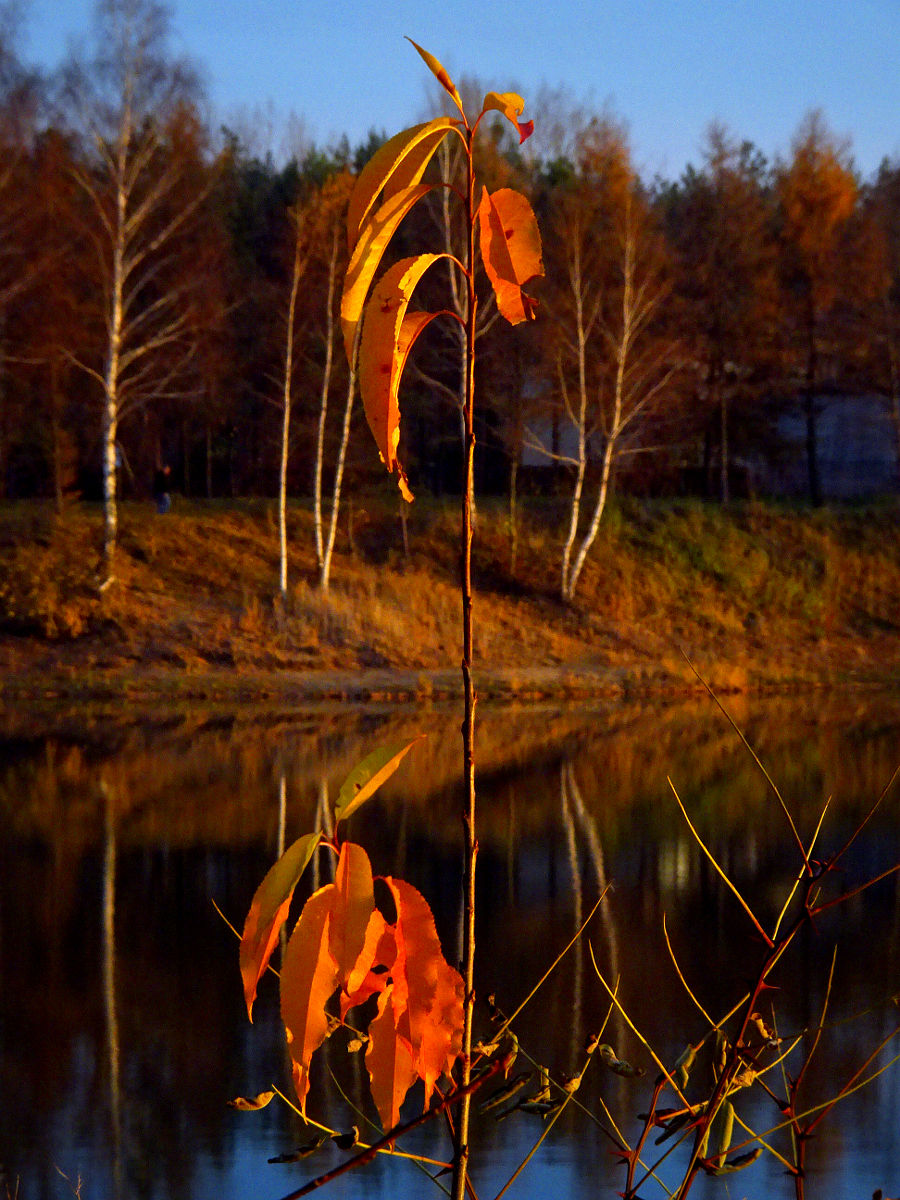 DSC03586.JPG
