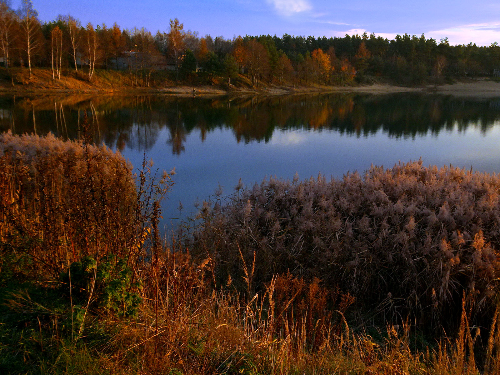 DSC03587.JPG