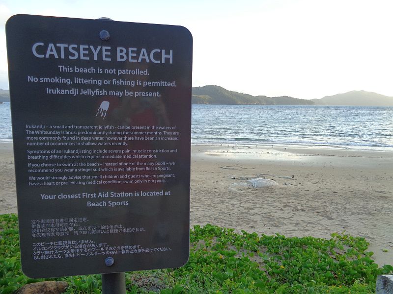 Catseye Beach.jpg