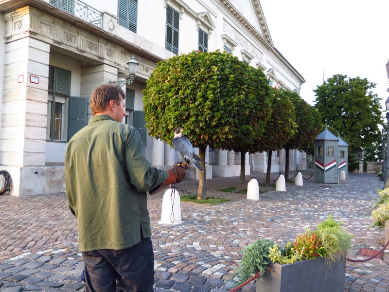 IMG_3159 (Custom).JPG