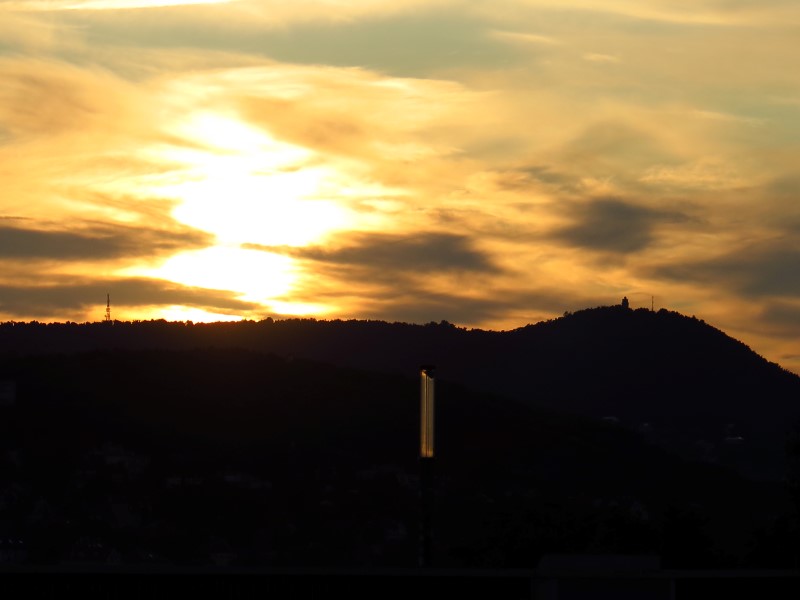 IMG_3166 (Custom).JPG