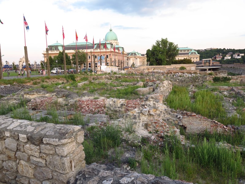 IMG_3168 (Custom).JPG