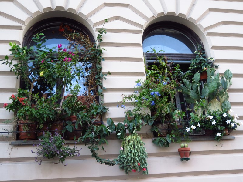 IMG_3180 (Custom).JPG