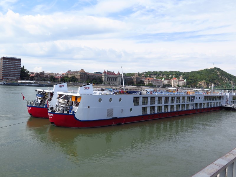 IMG_3374 (Custom).JPG