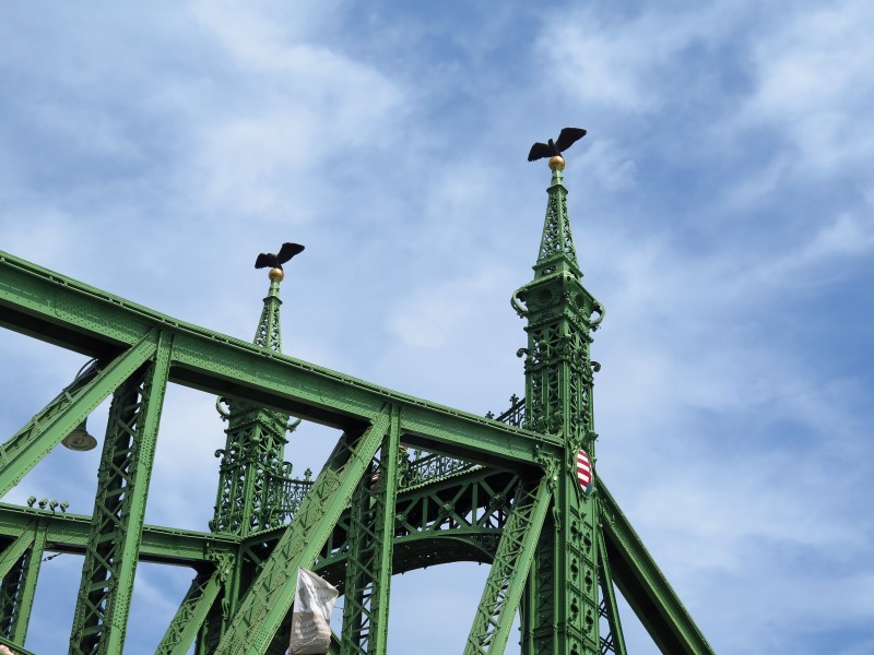 IMG_3411 (Custom).JPG