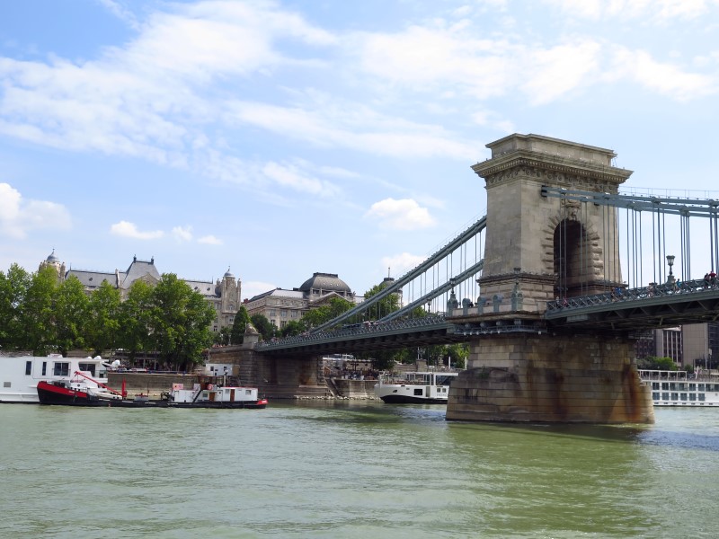 IMG_3464 (Custom).JPG