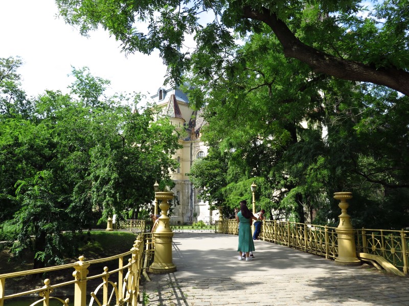 IMG_3704 (Custom).JPG