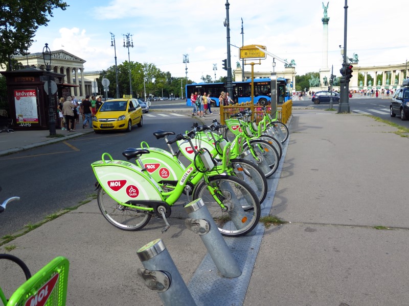 IMG_3757 (Custom).JPG