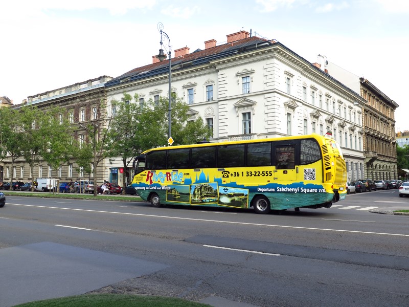 IMG_3800 (Custom).JPG