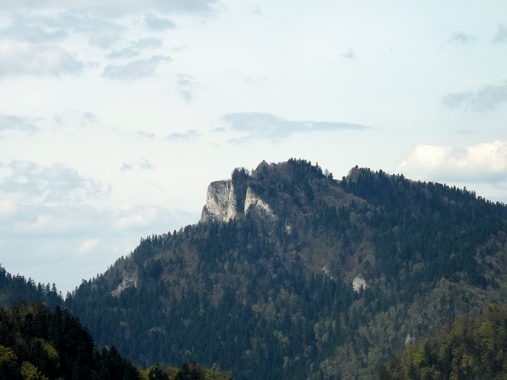 DSCF1790.JPG