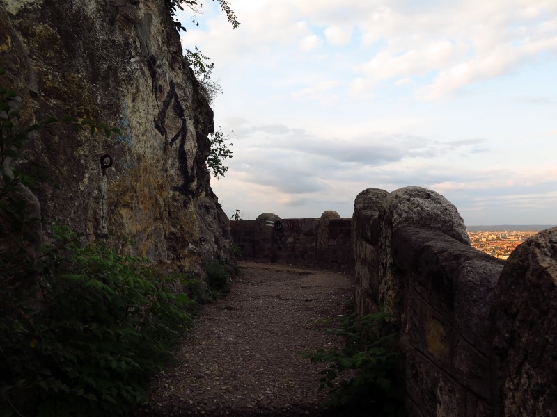 IMG_4174 (Custom).JPG