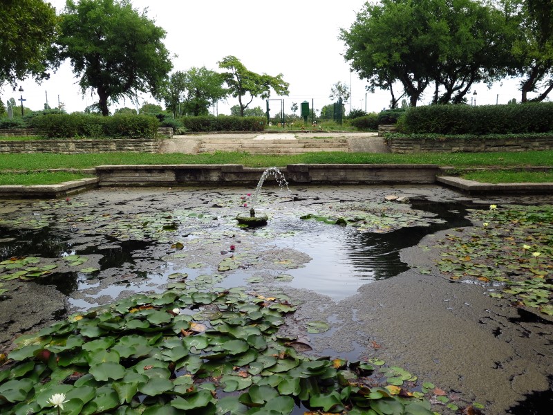 IMG_4506 (Custom).JPG