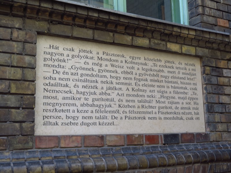 IMG_4794 (Custom).JPG