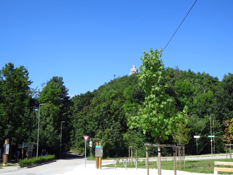 IMG_5000 (Custom).JPG