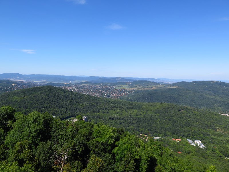 IMG_5027 (Custom).JPG