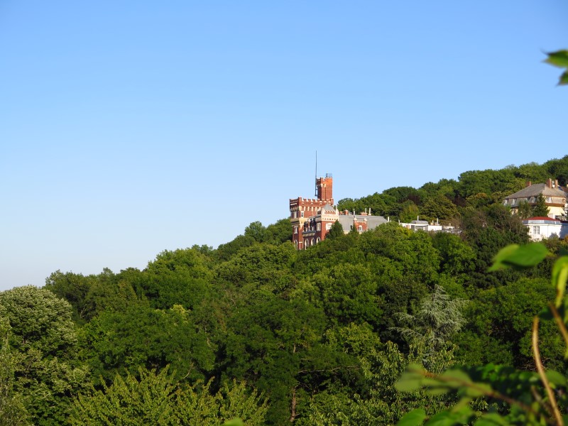 IMG_5290 (Custom).JPG