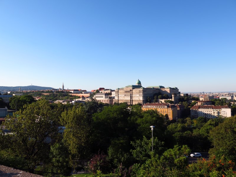 IMG_5286 (Custom).JPG