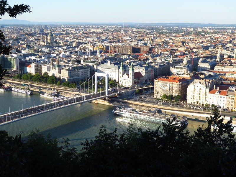 IMG_5349 (Custom).JPG