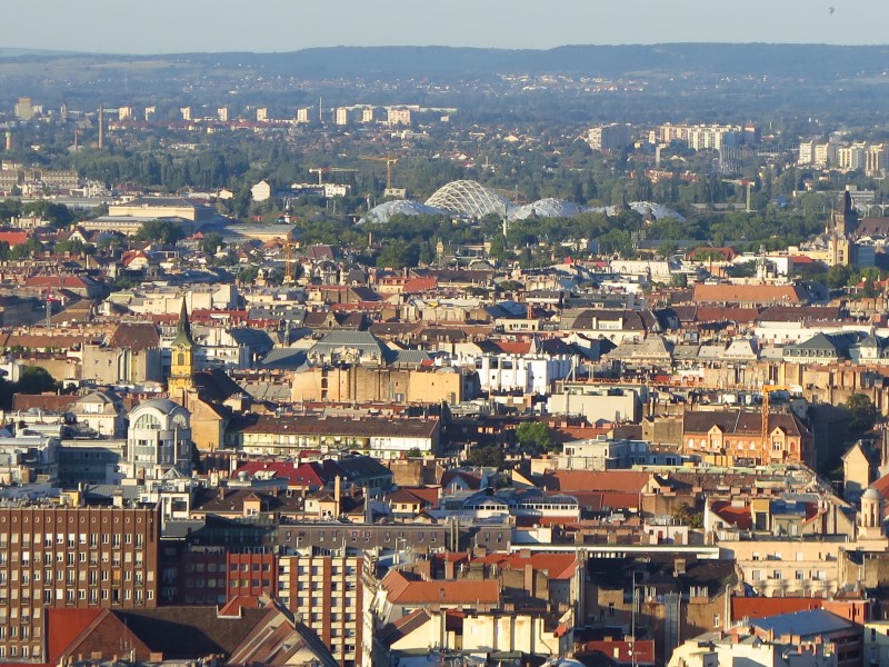 IMG_5352 (Custom).JPG