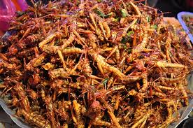 na wschodnią modę.jpg