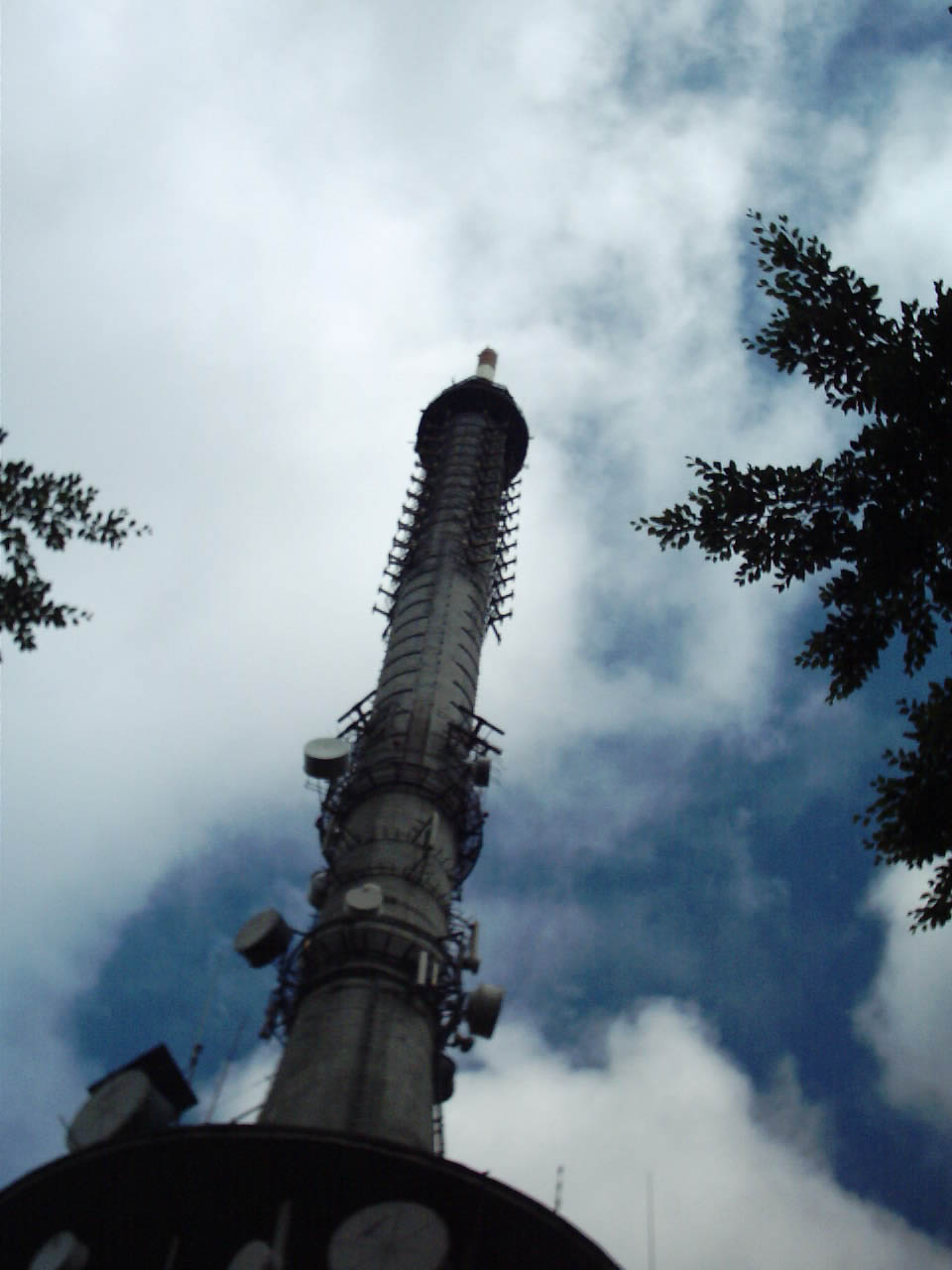 IMAGE2 — kopia.JPG
