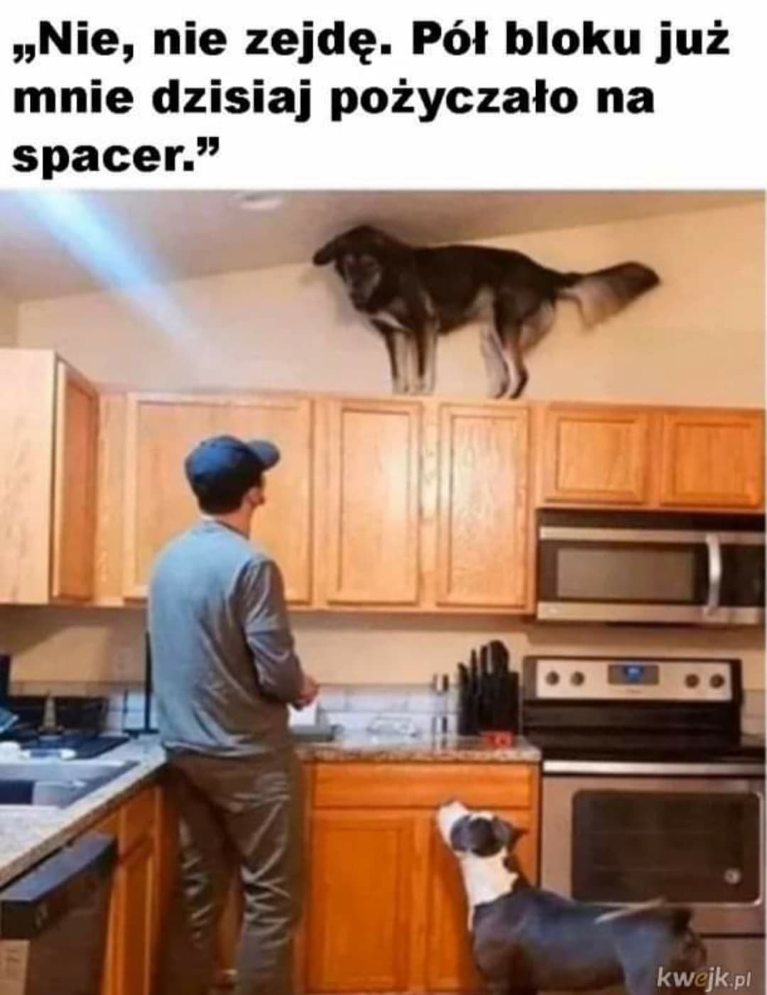 nie zejdę.jpg