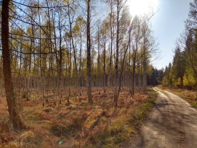 2020-04-20-16h52m02 (Custom).jpg