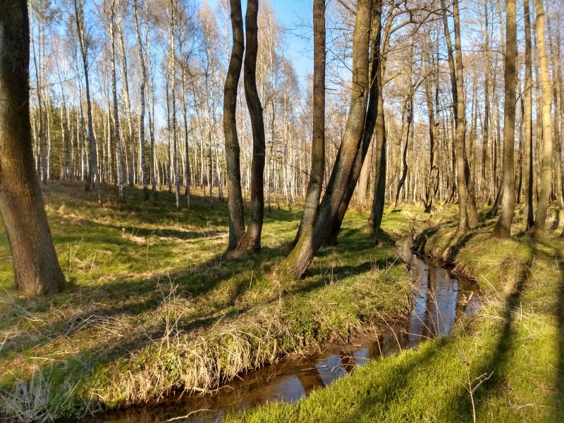 2020-04-20-17h11m36 (Custom).jpg