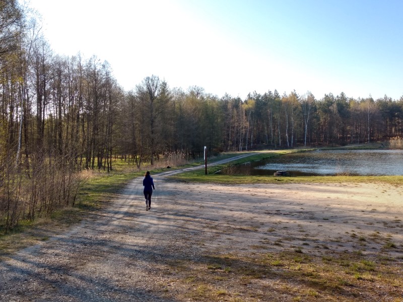 2020-04-20-17h26m30 (Custom).jpg