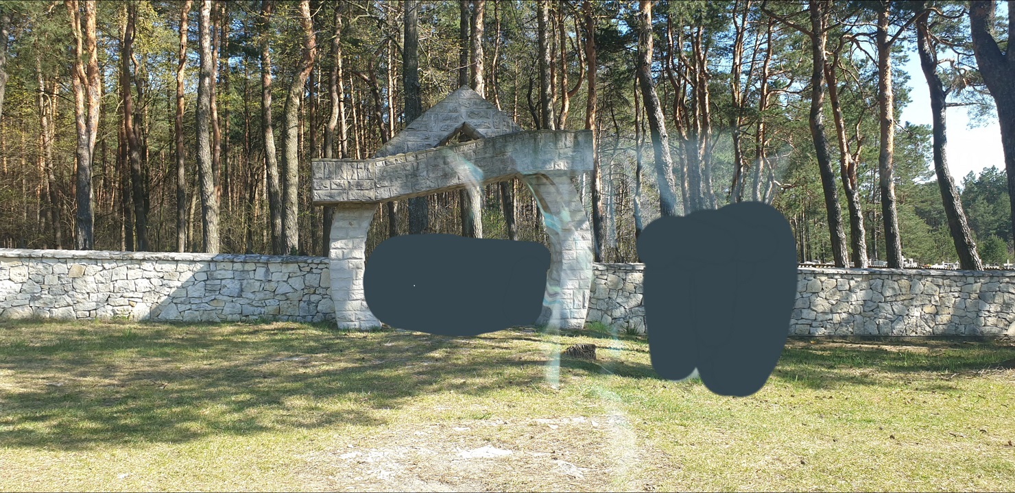 nie.jpg