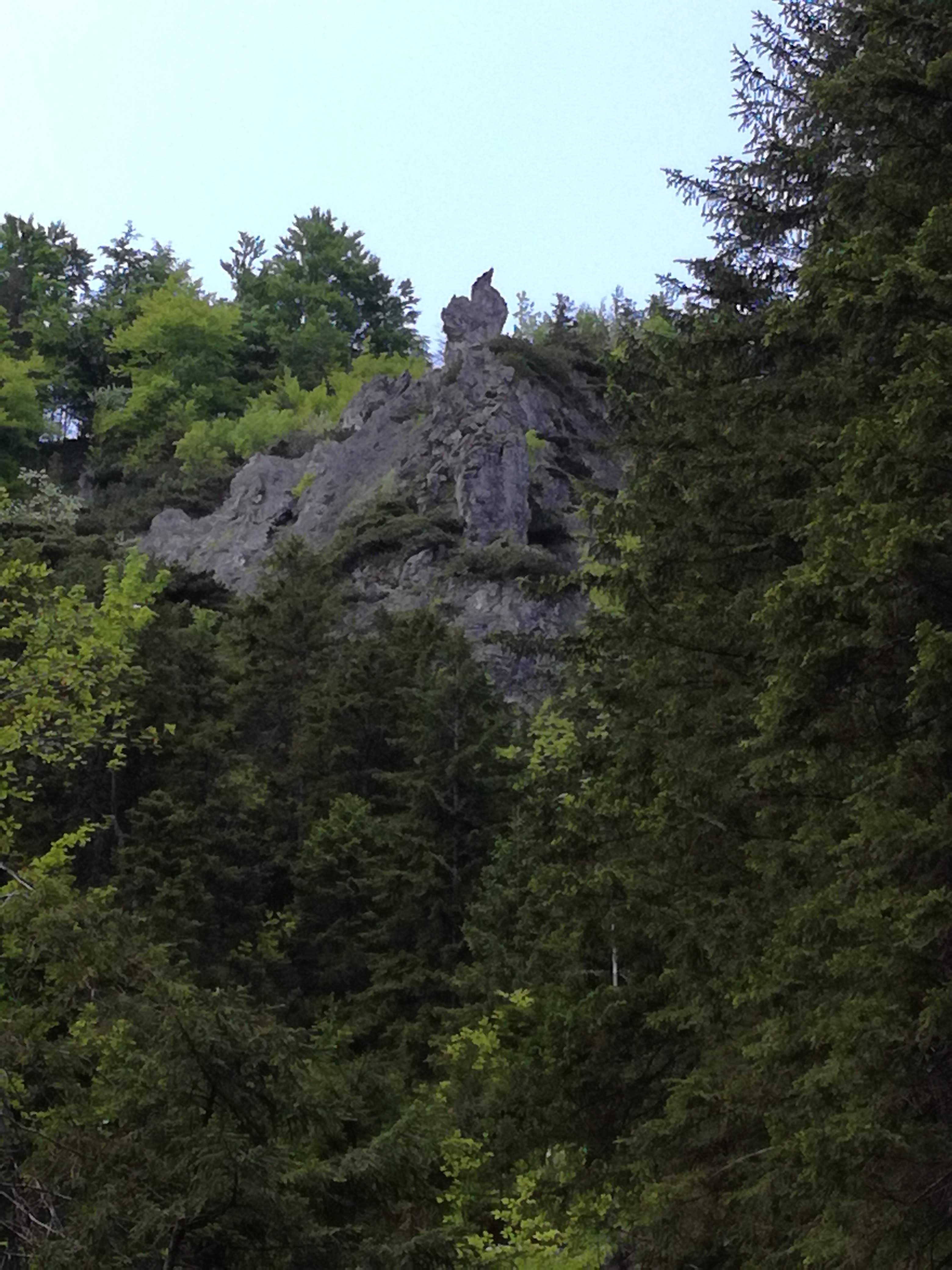 IMG_20190608_123111_1.jpg