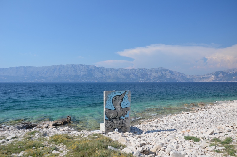 DSC_0109 nasza plaża.JPG