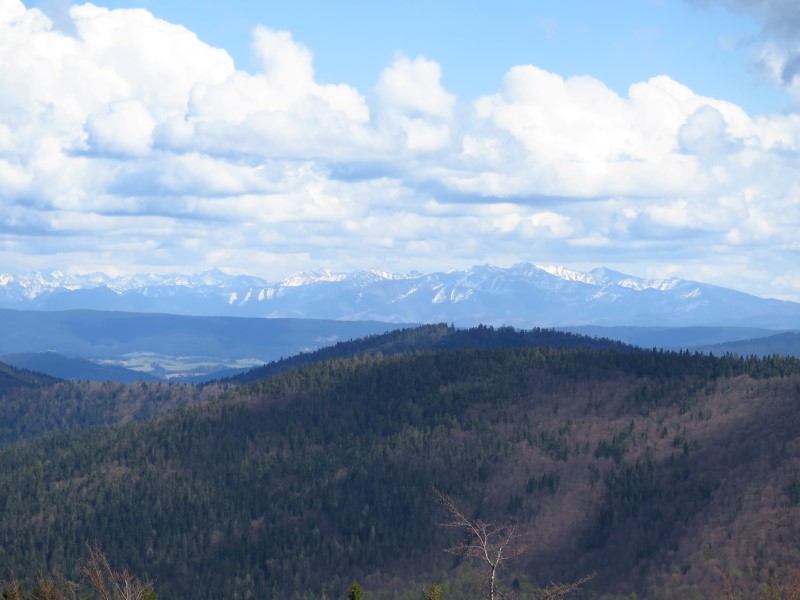 IMG_9097 (Custom).JPG