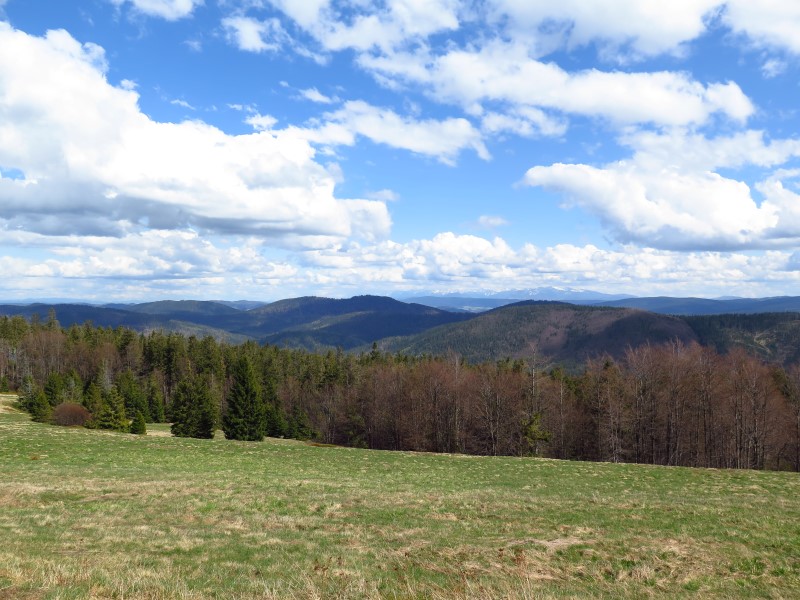 IMG_9095 (Custom).JPG