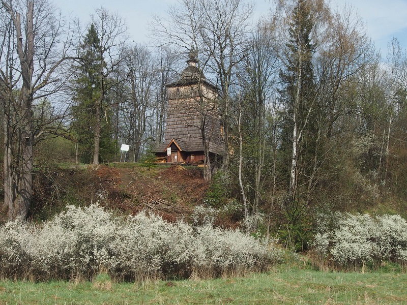 P1012799.JPG