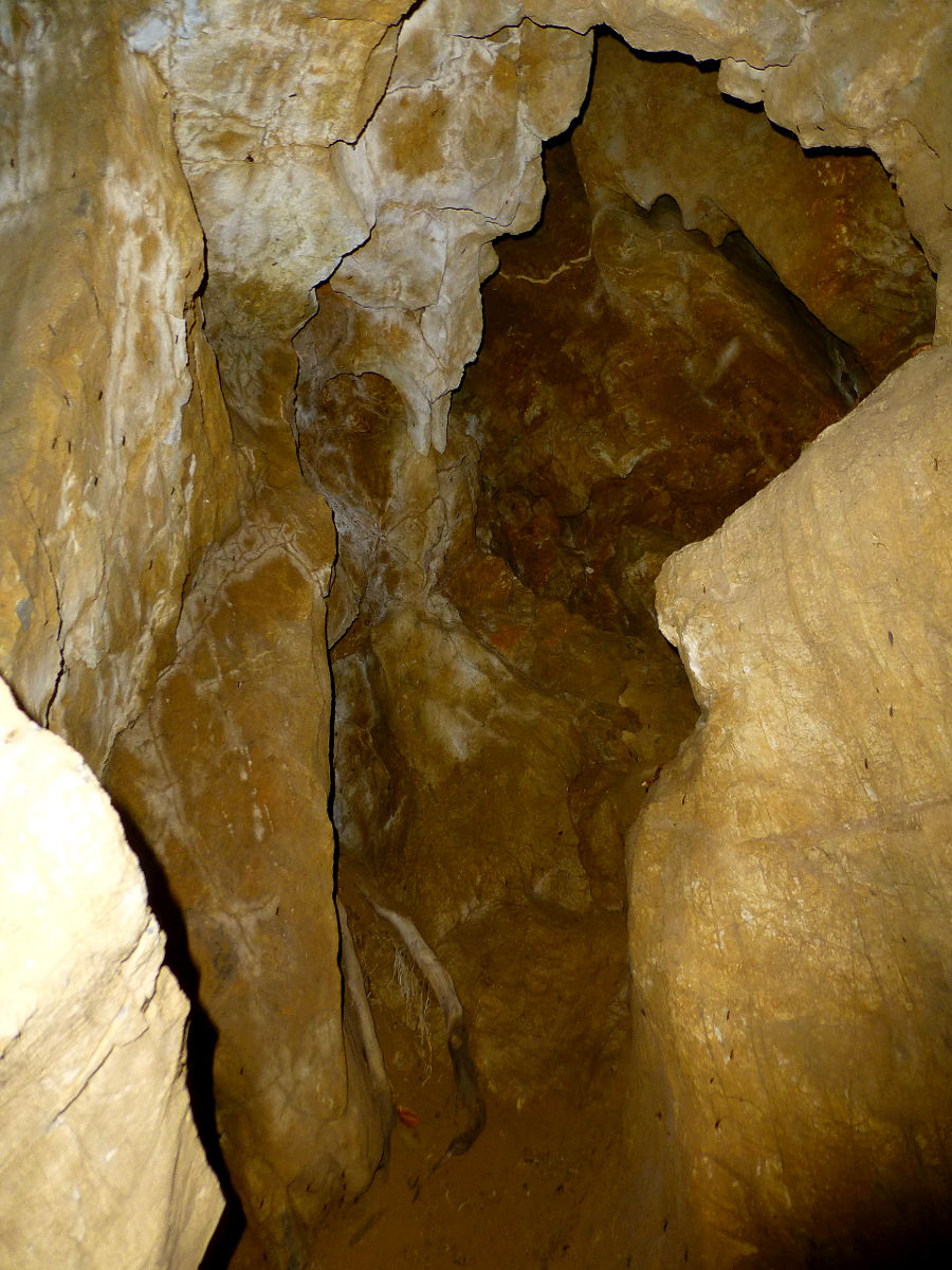 P1040939.JPG