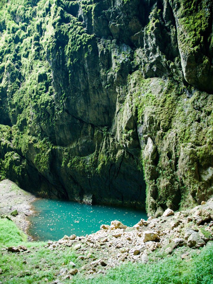 sr893475.jpg